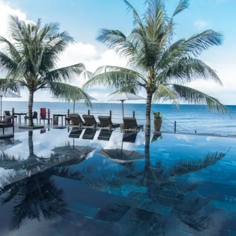 Combo Phú Quốc 3N2D | Tour + Resort 4 sao The Palmy