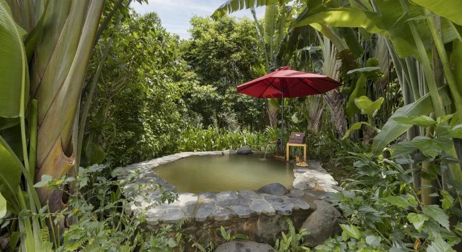 Khu tắm Onsen giữa thiên nhiên