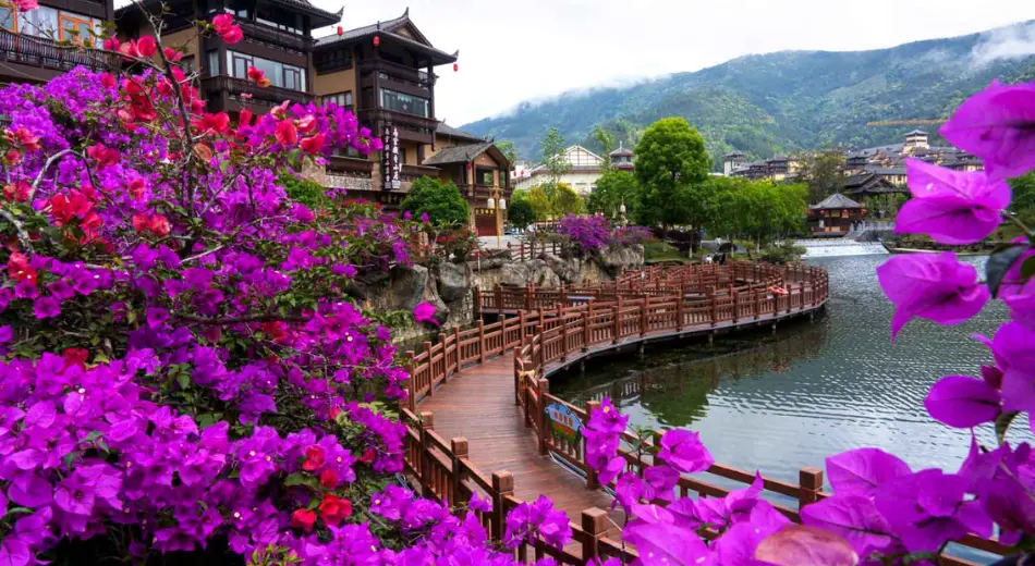 Miêu Trại Tích Thủy