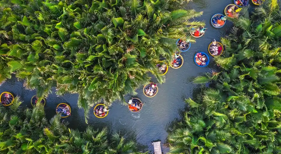 Rừa dừa bảy mẫu - Hội An