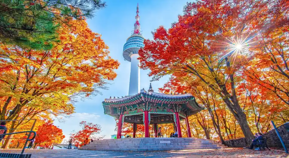 Seoul N Tower
