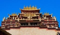 Ngày 5